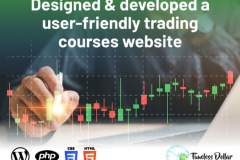 WordPress website for 'Timeless Dollar' in USA